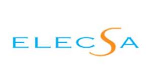 ElecSafe Logo